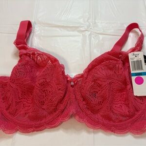 Paramour Vibrant Lace Bra in Hot Pink